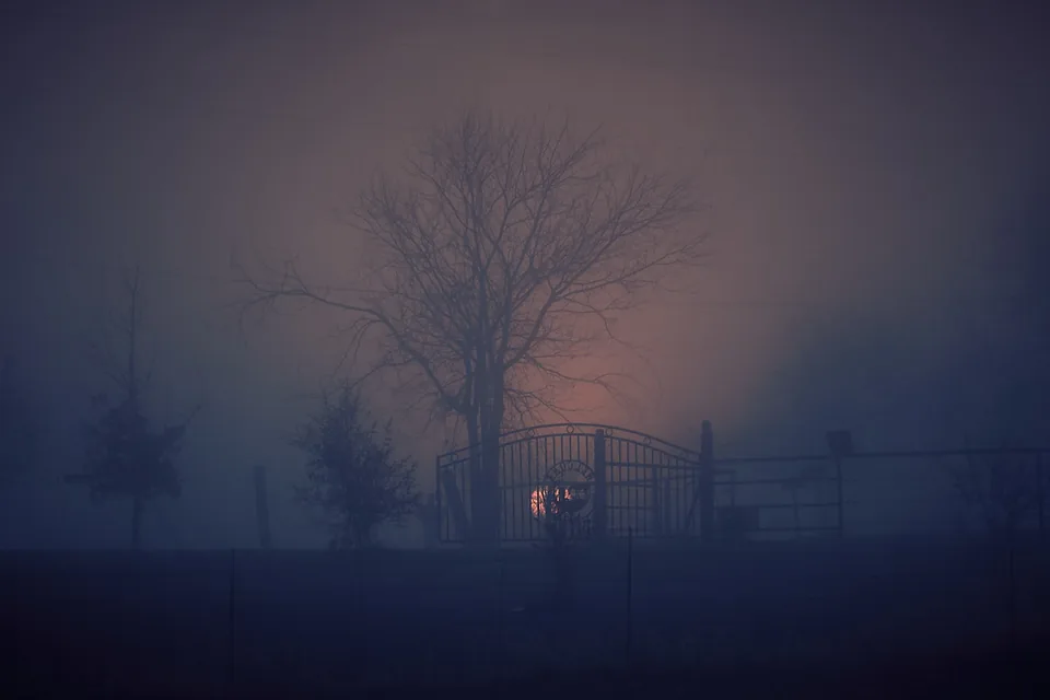 Foggy gate at dusk