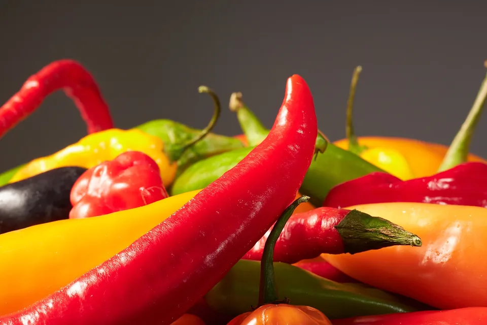 Fresh peppers, close-up