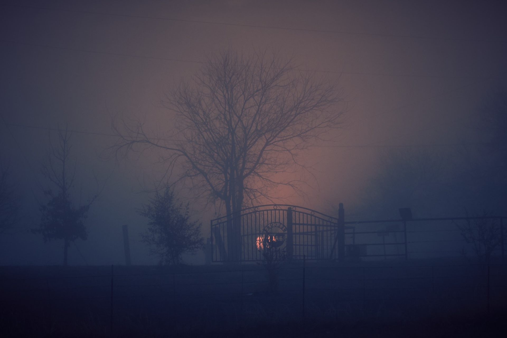 Foggy gate at dusk — Texas atmosphere, sculpted natural light