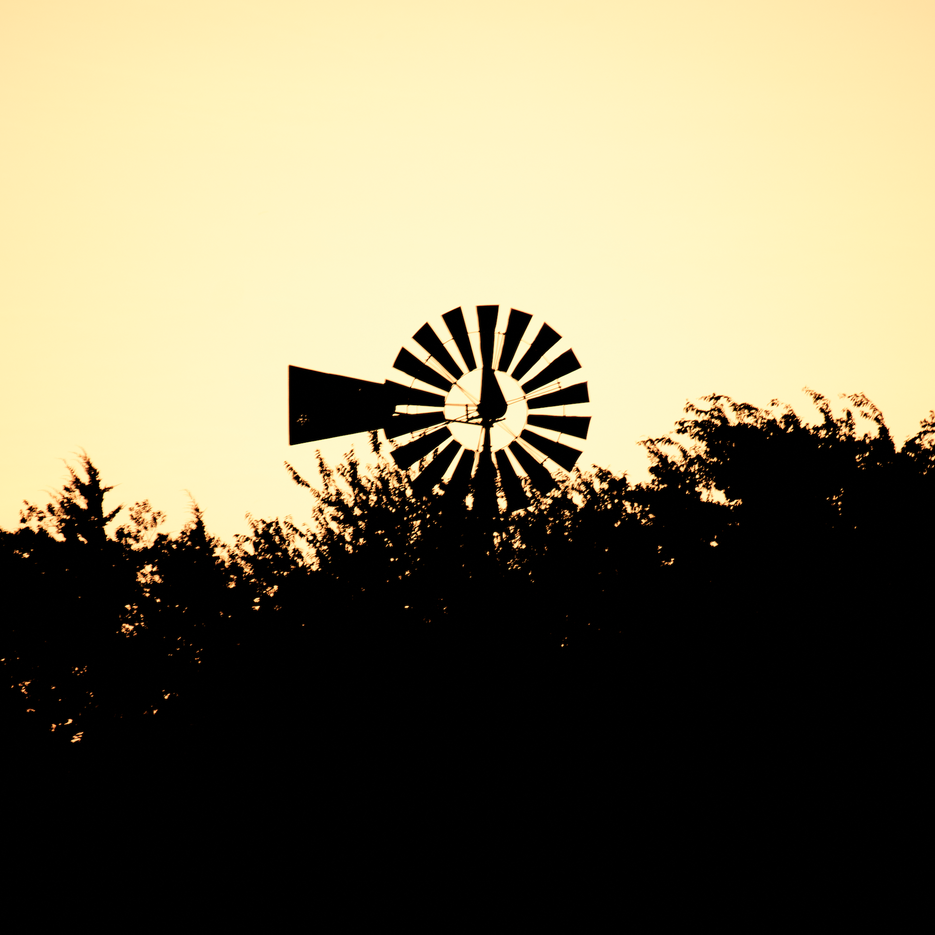 Windmill silhouette at golden hour